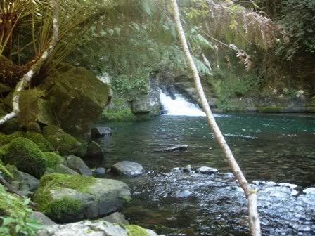DSCN0497.jpg