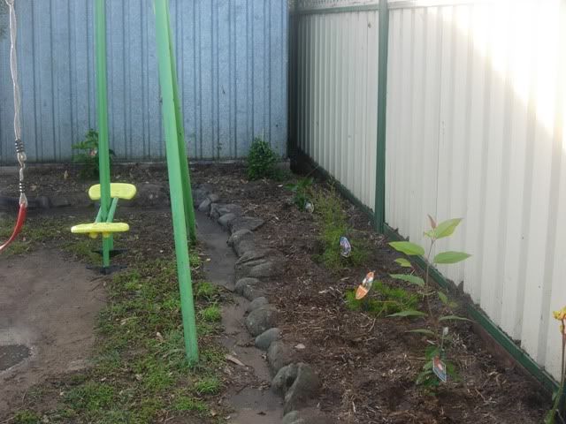 DSCN0517.jpg