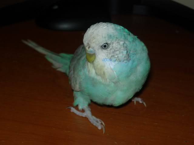 DSCN0537.jpg