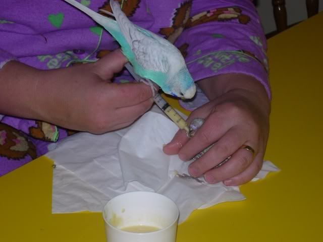 Picture002.jpg