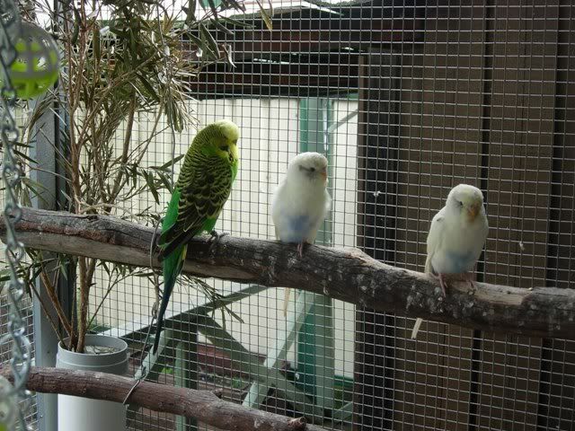 Picture007.jpg