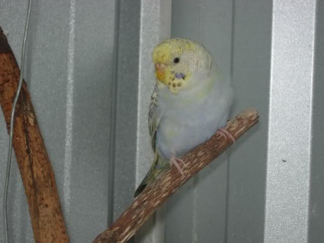 Picture009.jpg