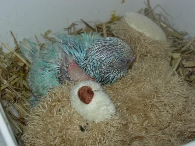 Picture014.jpg