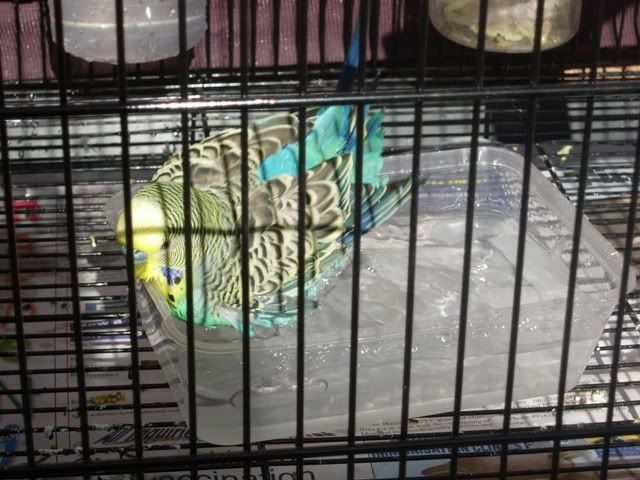 Picture026.jpg