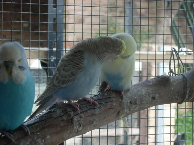 Picture027.jpg