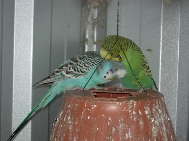 Picture032.jpg