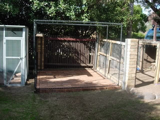 Picture037.jpg