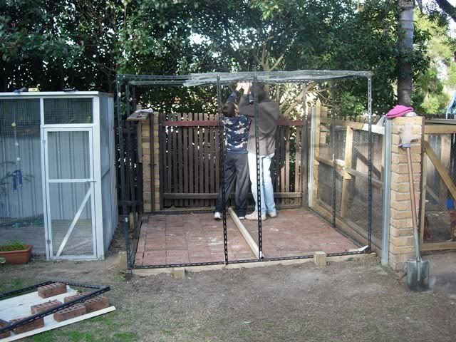 Picture064.jpg