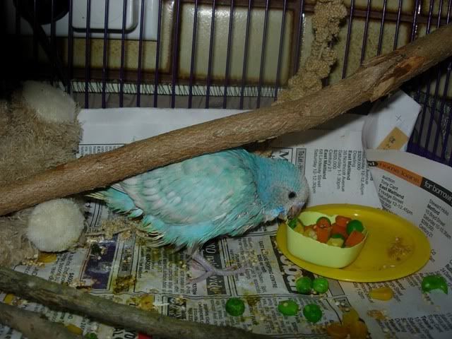Picture067.jpg