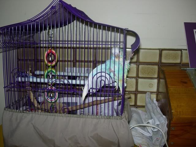 Picture078.jpg