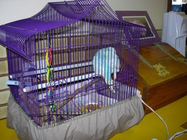 Picture080.jpg
