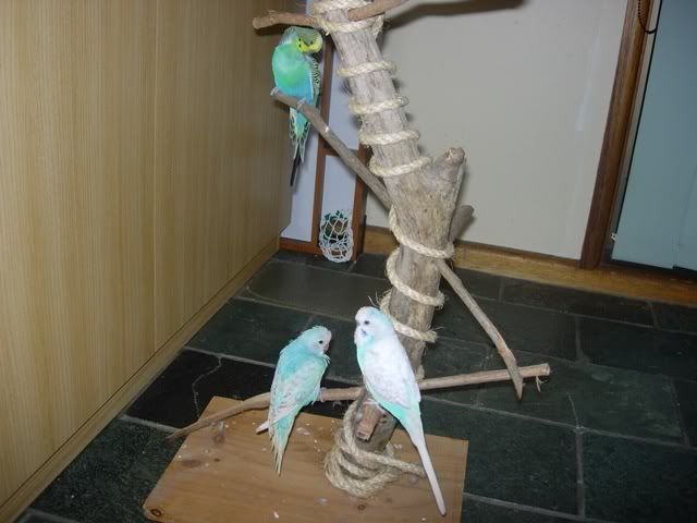 Picture092.jpg