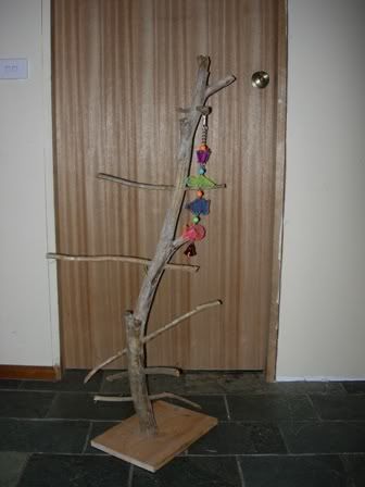 april08018.jpg