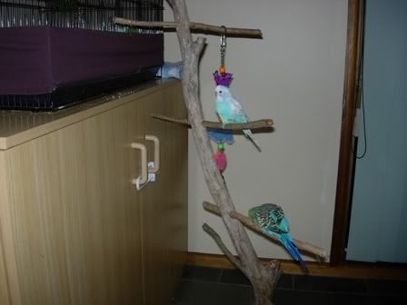 april08019.jpg