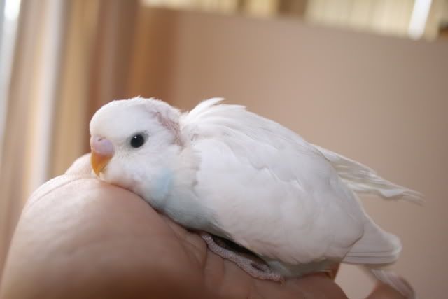 babies003.jpg