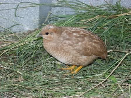 birdsandkids007.jpg
