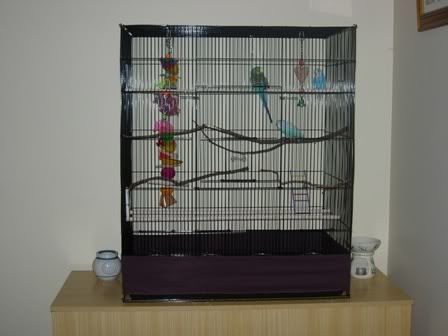 cage003.jpg