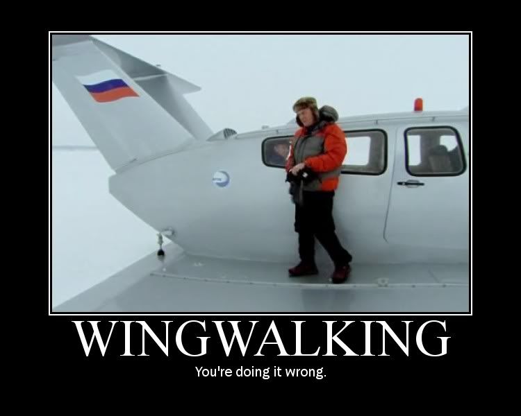wingwalking.jpg