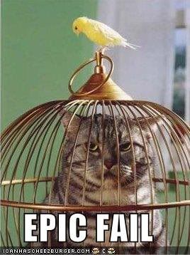 epicfailcatbird.jpg