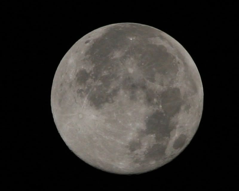 IMAGE: http://i221.photobucket.com/albums/dd71/mpimage/Misc/Moon2web.jpg