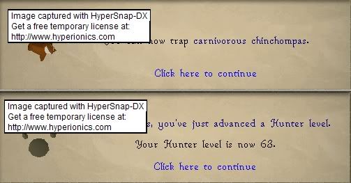 erer.jpg