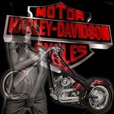 Harley Davidson Pictures, Images and Photos