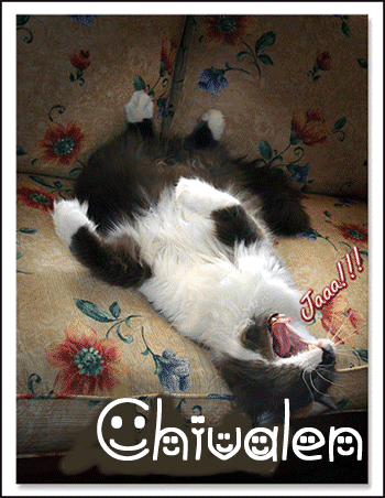 ALI.gif picture by EN-EN-EN-