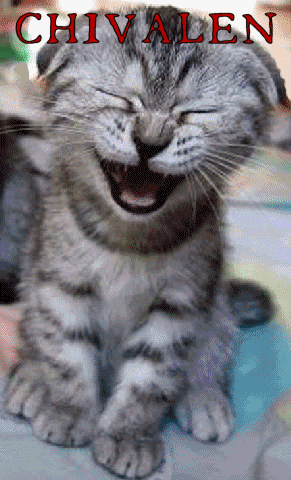 GATOMABEL.gif picture by EN-EN-EN-