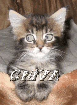 MICHI.gif picture by EN-EN-EN-