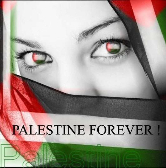 palestine-2.jpg