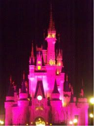 Disney 2008 Magic Kingdom nighttime beauty