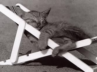 Zaslu&#382;eni odmor- Mačka,Mačka spava,Mačka se sunča,Ležaljka
