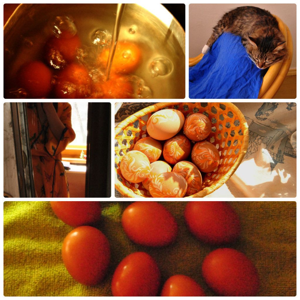 photo collage_photocat_zpsijlsggop.jpg