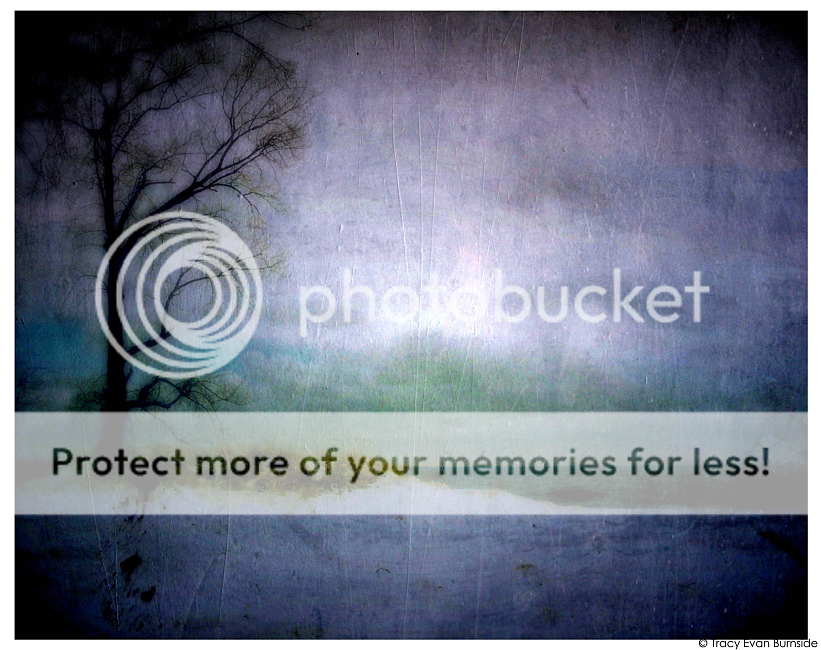 Monday Random Weather (20 Photos) » Pirate's Cove