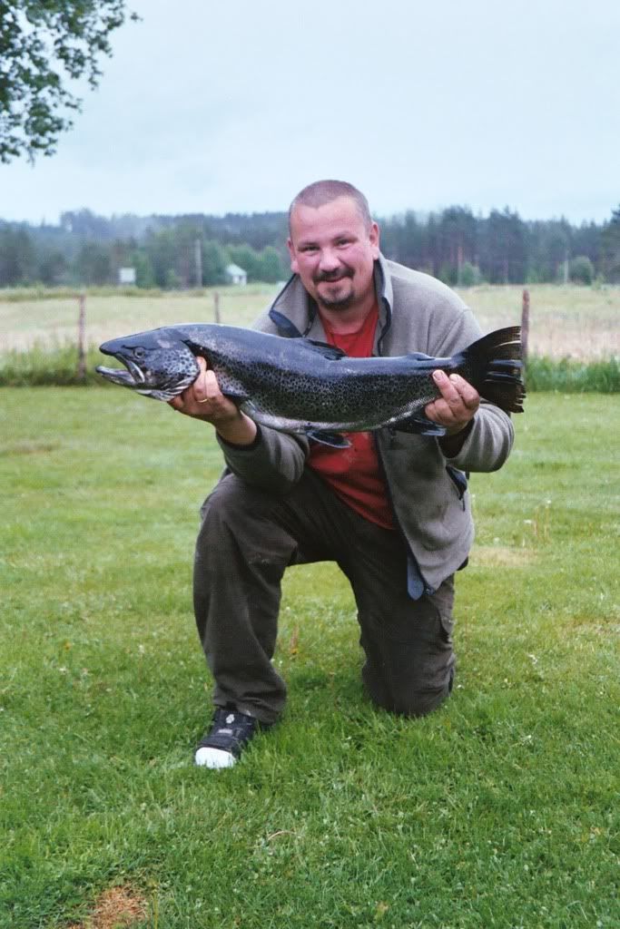 Storfisken-1.jpg