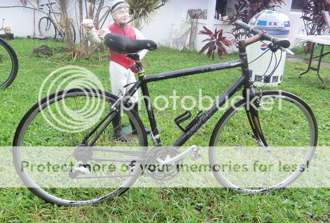 specialized sirrus comp bike
