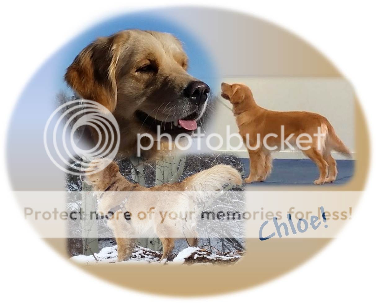 Photobucket - Video and Image Hosting