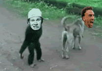 PUNKIMIJI2.gif