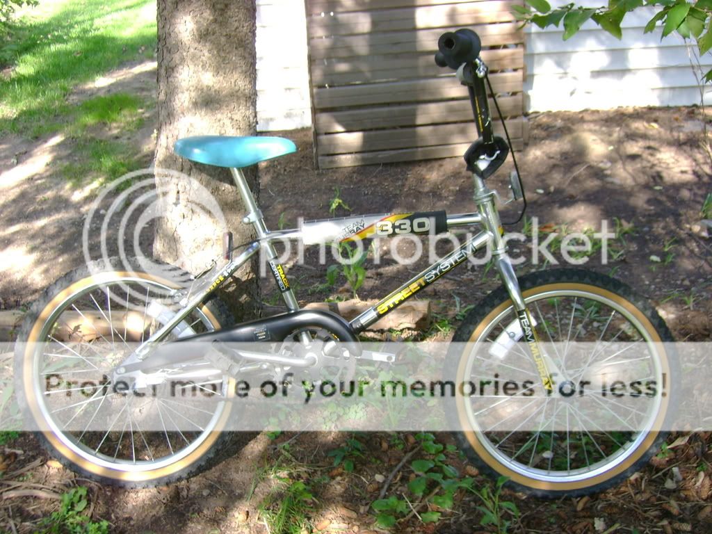 My Unrestored Team Murray 330. - BMXmuseum.com Forums