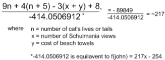 johnequation.gif