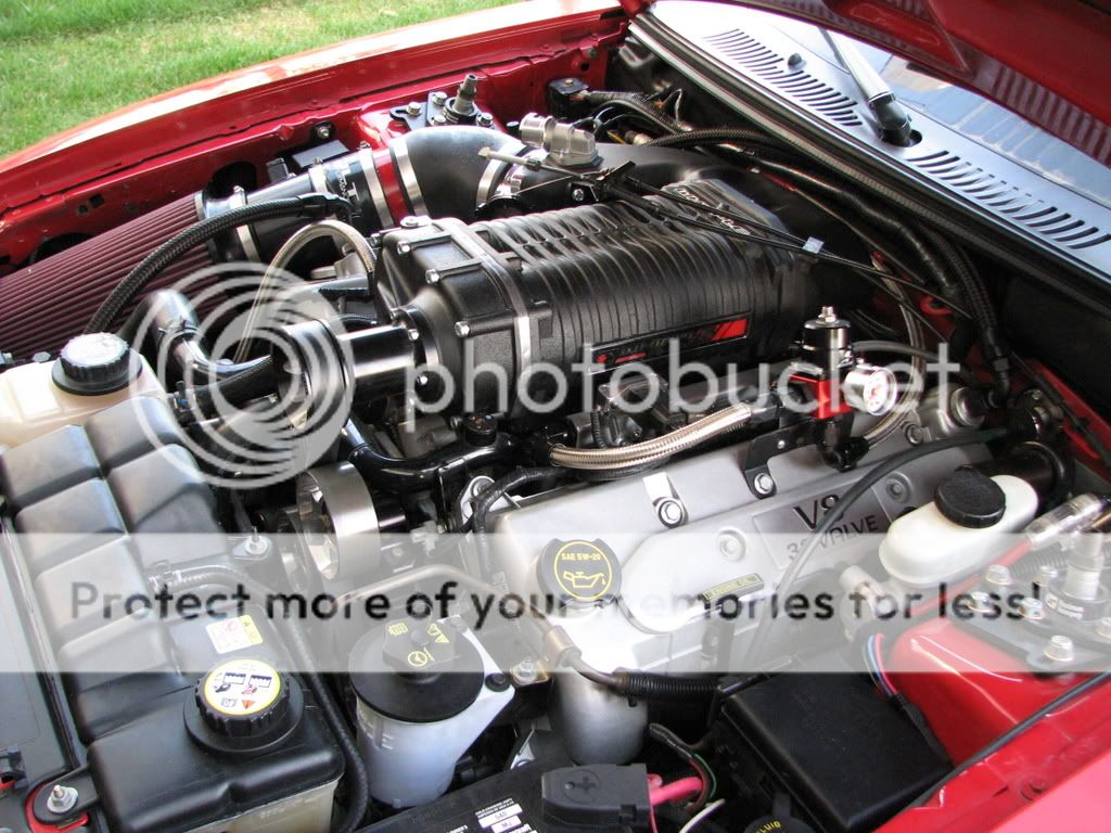 Let's see your return fuel system | Mustang and Ford Performance Forums