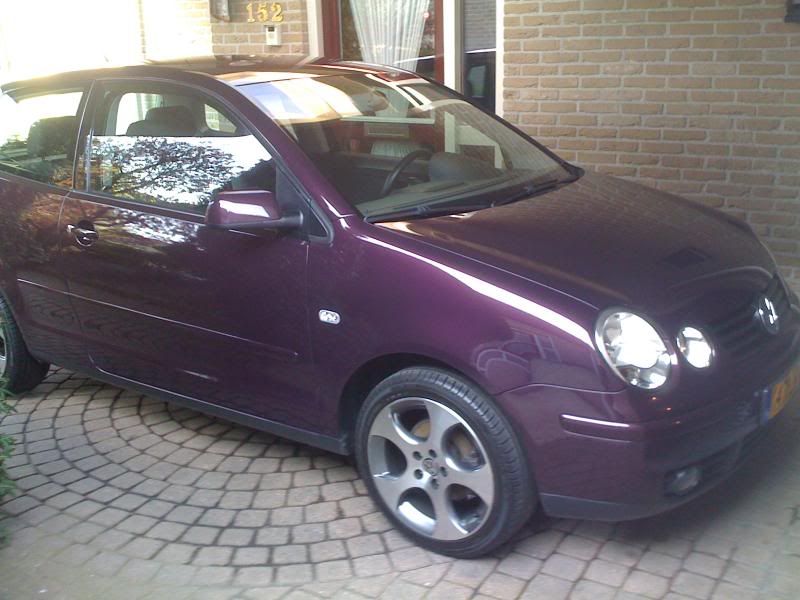 polo-dodo002.jpg