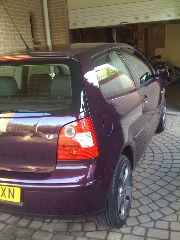 polo-dodo004.jpg
