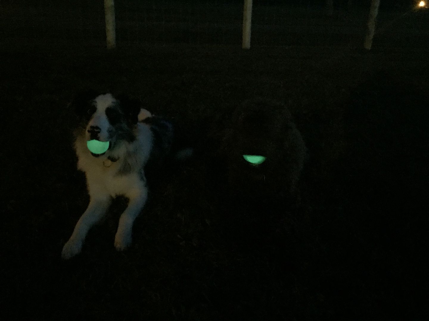 glow in the dark balls photo IMG_5834.jpg