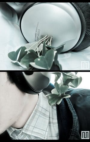 https://i221.photobucket.com/albums/dd48/nettle_/Feel_the_Music_by_mizho.jpg