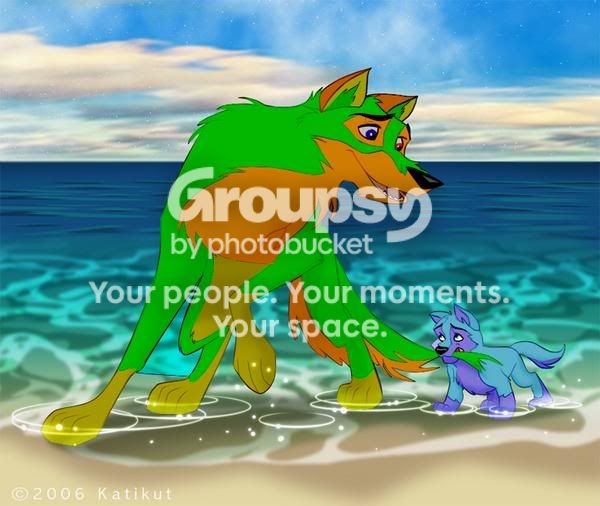 User Image